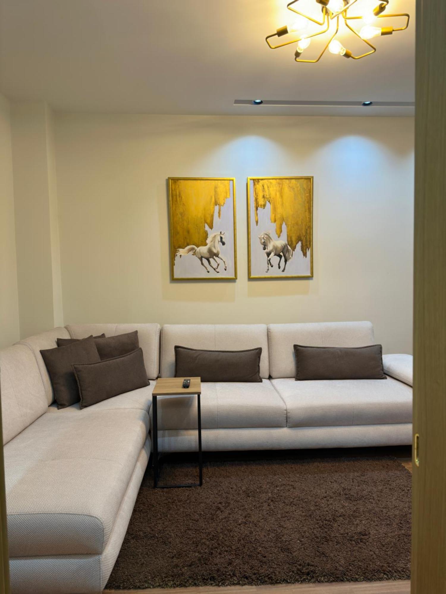 Dry Lake Apartment ติรานา ภายนอก รูปภาพ